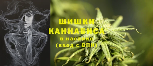 PSILOCYBIN Баксан