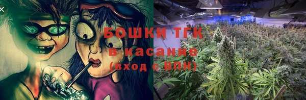 PSILOCYBIN Баксан
