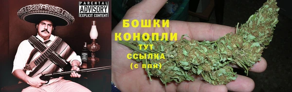 PSILOCYBIN Баксан