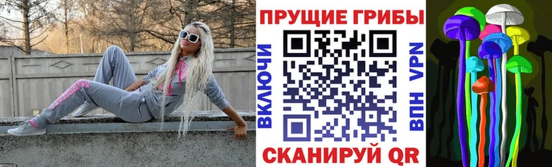 Псилоцибиновые грибы Psilocybe Краснозаводск