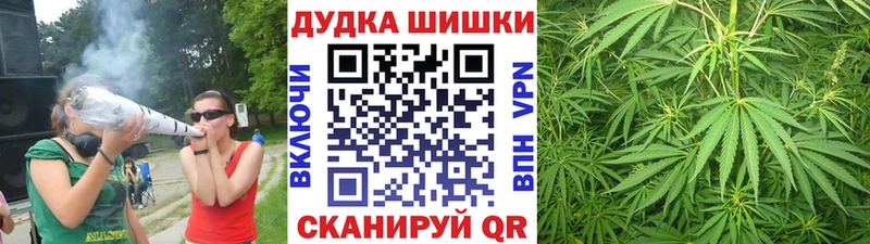 Бошки Шишки план  Краснозаводск 